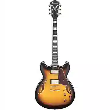 Ibanez (Artcore)AF93 (Jazz)