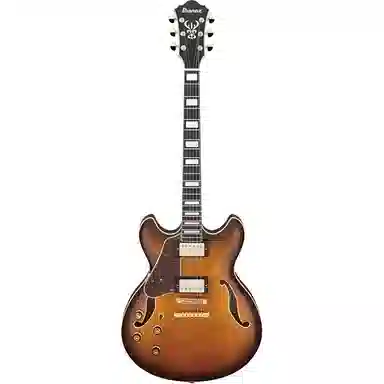 Ibanez (Artcore)AF93 (Jazz)