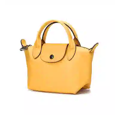 LONGCHAMP Le Pliage Xtra 17