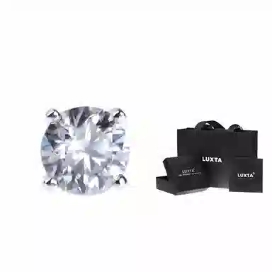 LUXTA Moissanite Stud Earrings