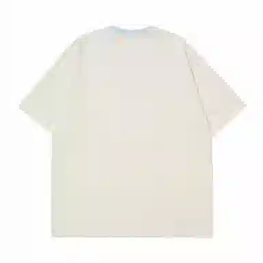 LISENPOK T