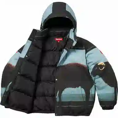 Supreme x Damien Hirst Down Puffer Jacket