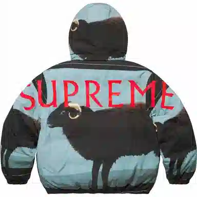 Supreme x Damien Hirst Down Puffer Jacket
