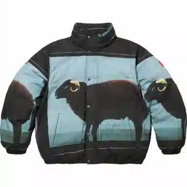 Supreme x Damien Hirst Down Puffer Jacket