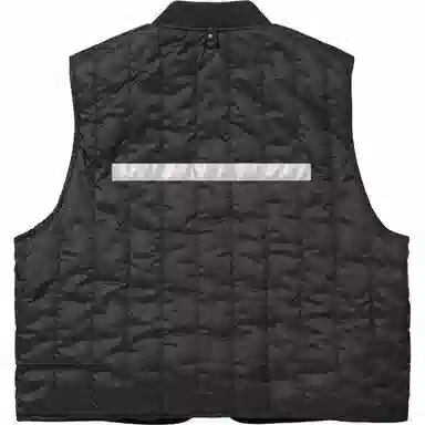 Supreme SS25 WEEK1 GORE-TEX Vest