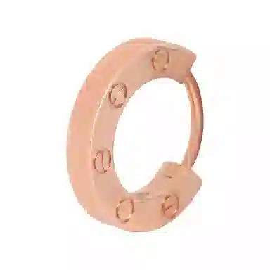 Cartier LOVE Earring