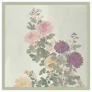 上海故事 十二花令印花百搭真丝小方巾礼盒装 丝巾 女款