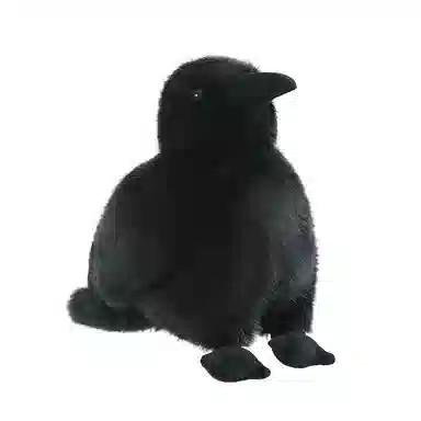 15cm25cm35cm