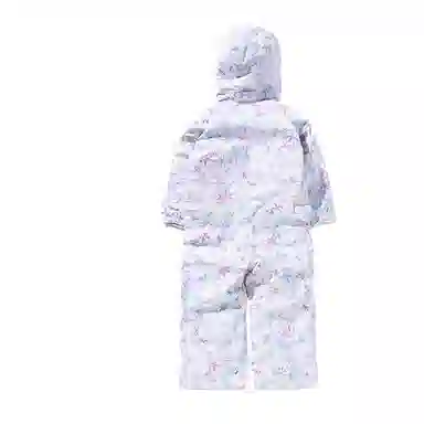 phenix SKI