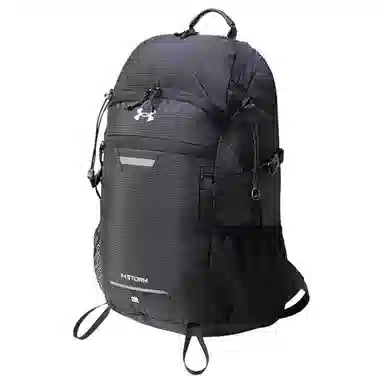 Under Armour 23L Backpack
