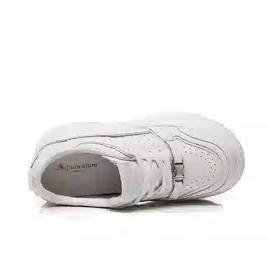AQUASCUTUM