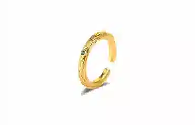 ROGA