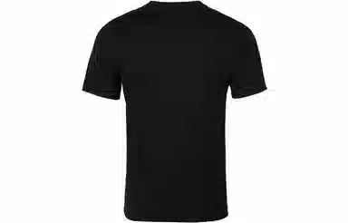 Air Jordan Flight AJT