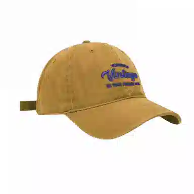 北极绒 大头围深顶字母刺绣帽檐加宽加厚遮阳显脸小 棉 鸭舌帽 男女同款情侣款