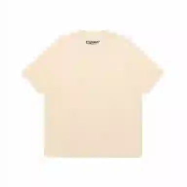 Aape T