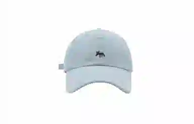 IOTS Embroidered Fox Cap