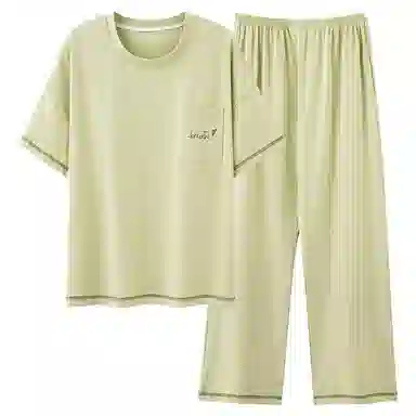 莫代尔 舒适简约时尚气质圆领套头个性百搭柔软亲肤不易起球短袖长裤可外穿夏季睡衣套装 女款 浅绿色