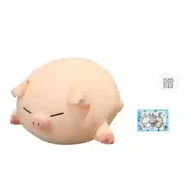 40cm50cm60cm80cm100cm