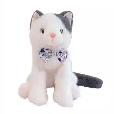 lionf 25cm35cm