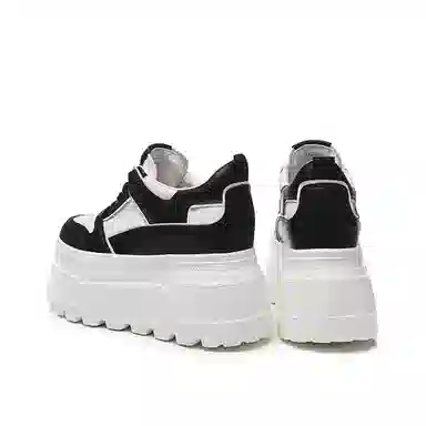 AQUASCUTUM