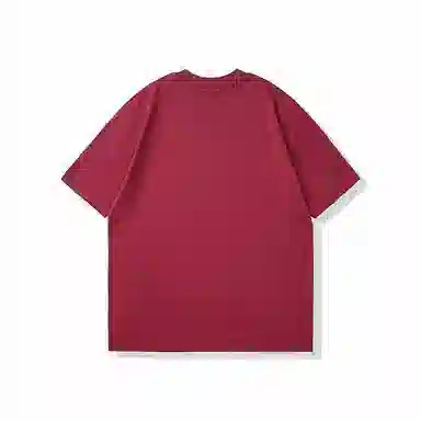 HIPANDA T