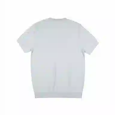 Raidy Boer T