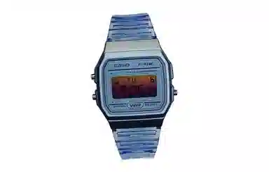 CASIO DIGITAL F-91WS-2