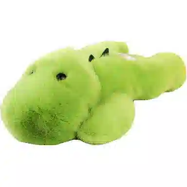 20cm