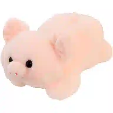 20cm