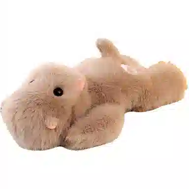 20cm