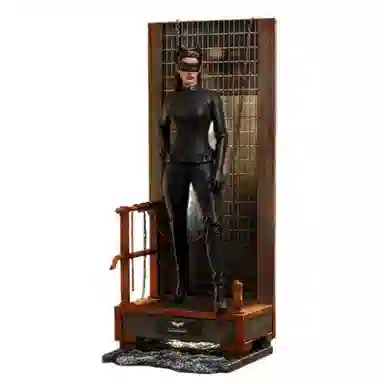 Hot Toys 16 DC Comics 29cm
