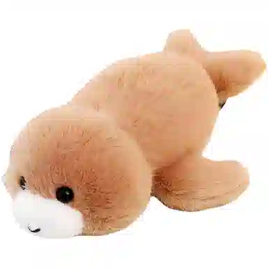 20cm