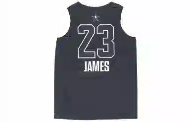 Air Jordan NBA James SW Jersey