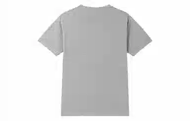 Champion SS25 BASIC T