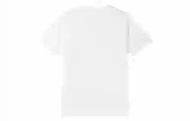 Champion SS25 BASIC T