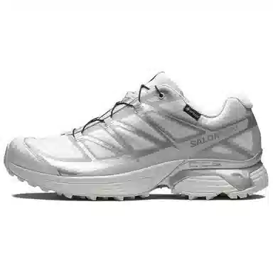 Salomon XT-Pathway GORE-TEX "Lunar Rock Alloy"