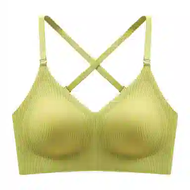 帕兰朵 美背无痕聚拢贴合亲肤柔软透气文胸 女款