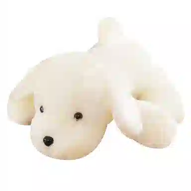 25cm35cm40cm50cm55cm60cm