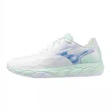 Mizuno Wave Enforce Court