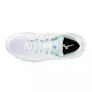 Mizuno Wave Enforce Court