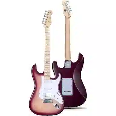 MOOER () MSC30 Pro 22