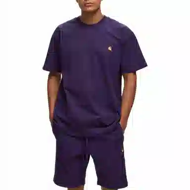 Carhartt WIP American Script Tee T