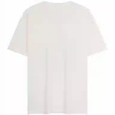Tommy Hilfiger T