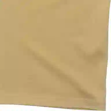 Dickies LogoT