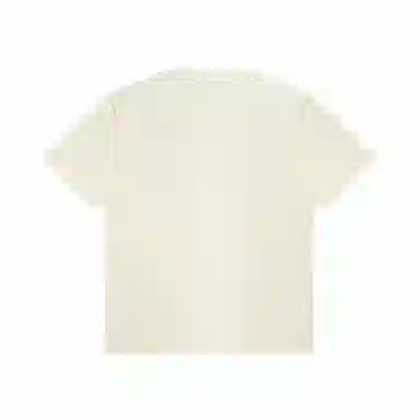 Aape T