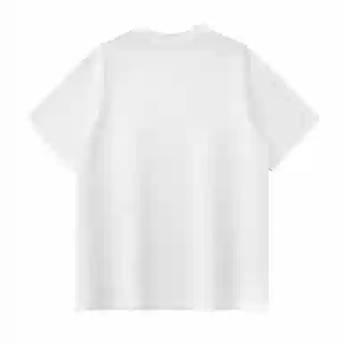 HIPANDA T