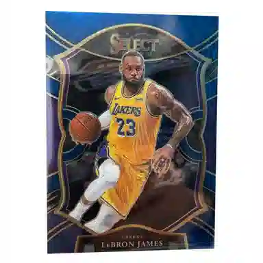 PANINI 2020-21 SELECT