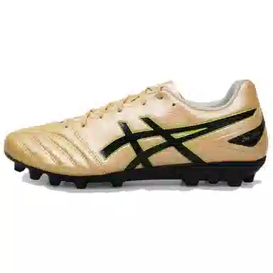 Asics DS LIGHT PRO AG