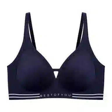 帕兰朵 舒适亲肤透气聚拢无痕文胸 女款