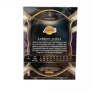 PANINI 2020-21 SELECT